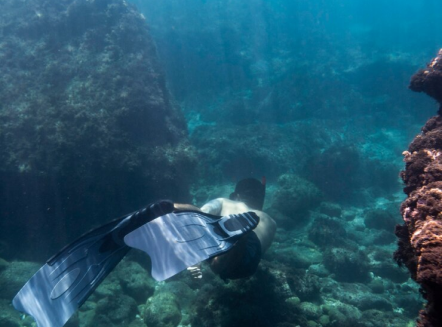 The Great Barrier Reef